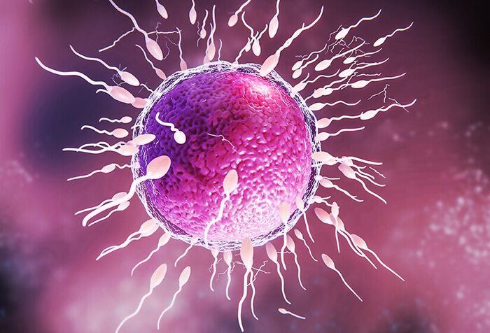Azoospermia Treatment Options for Male Infertility - IV Centre Delhi