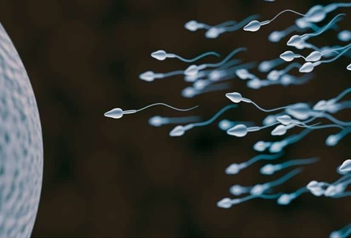 Low Sperm Count Treatment for Male Infertility